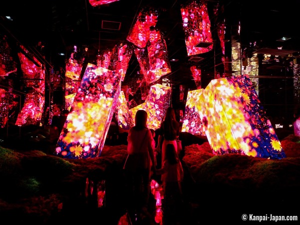 teamLab BioVortex Kyoto Tickets