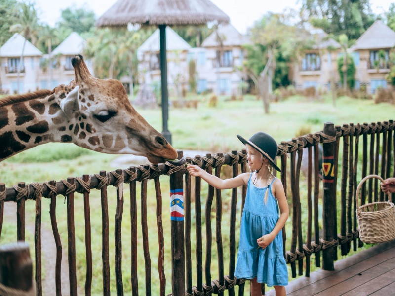Bali Safari Park General Admission Ticket