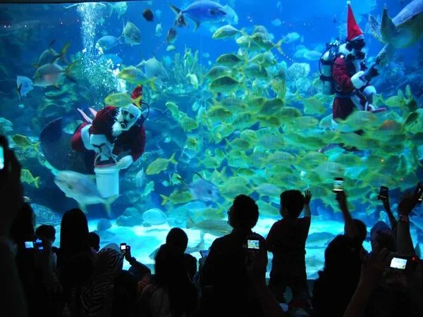Aquaria KLCC General Admission Ticket