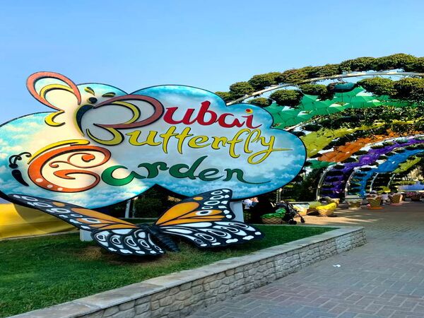 Dubai Butterfly Garden Entry Tickets