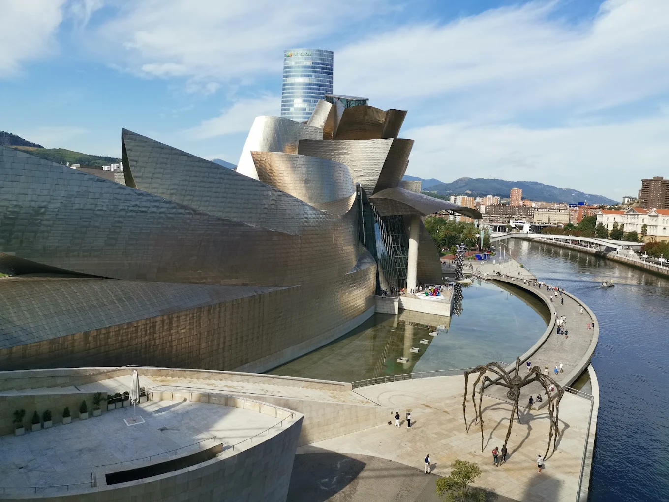 Guggenheim Museum Bilbao Entry Ticket