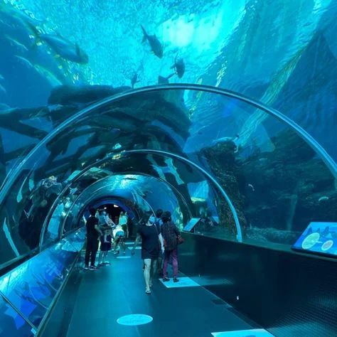 Singapore Oceanarium Pass
