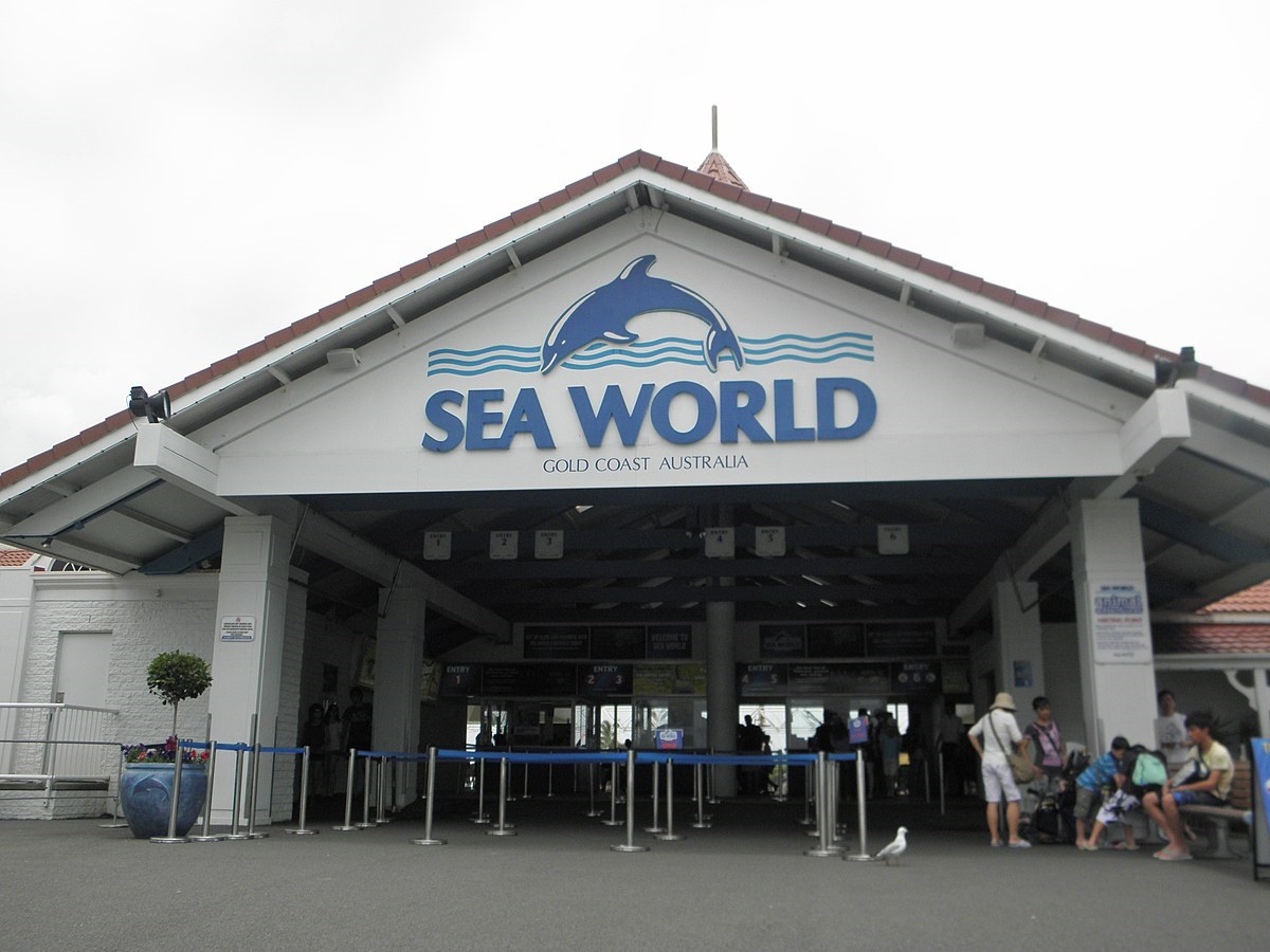 Sea World Gold Coast Admission Tickets