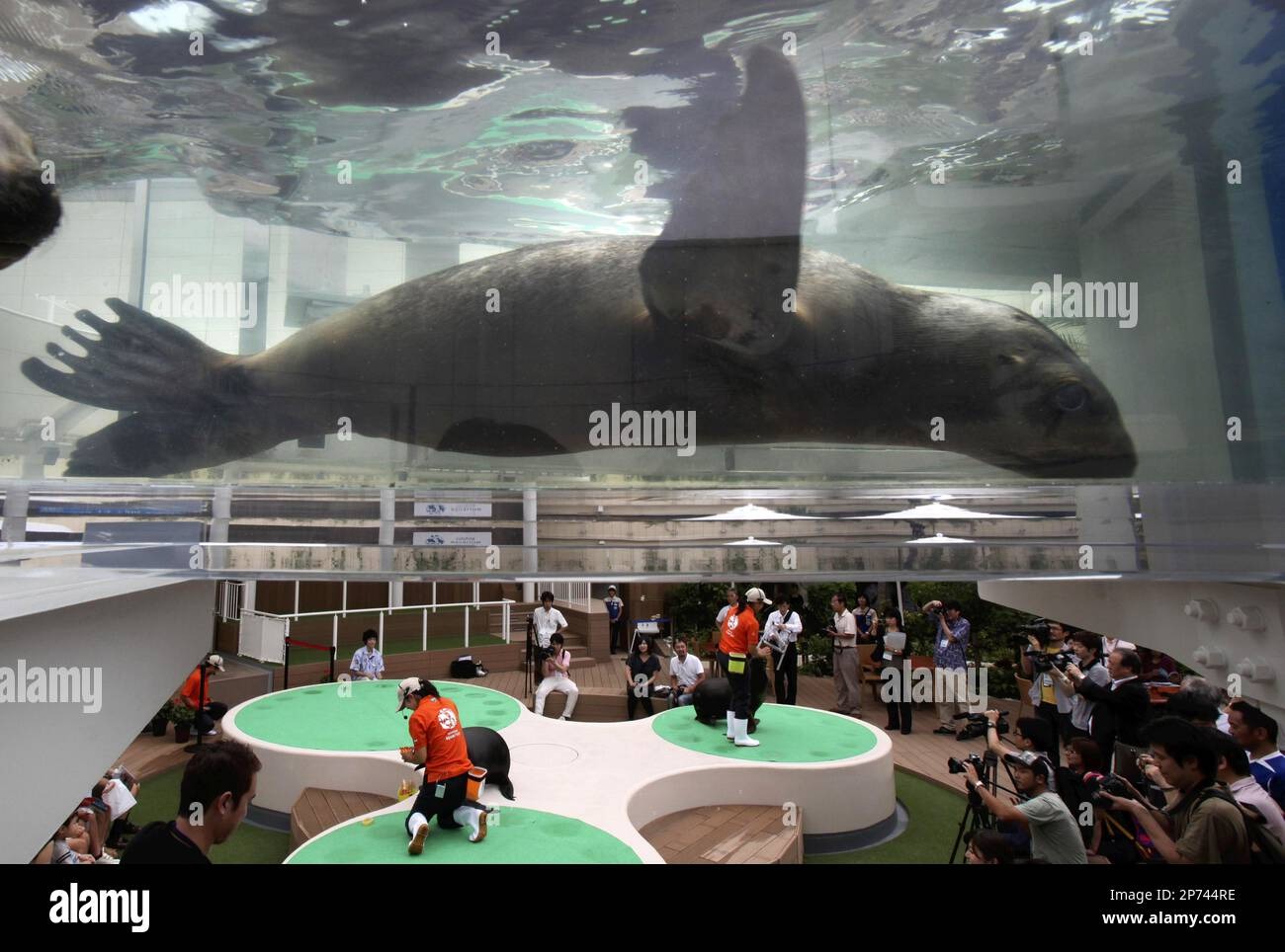 Sunshine Aquarium Admission Tickets