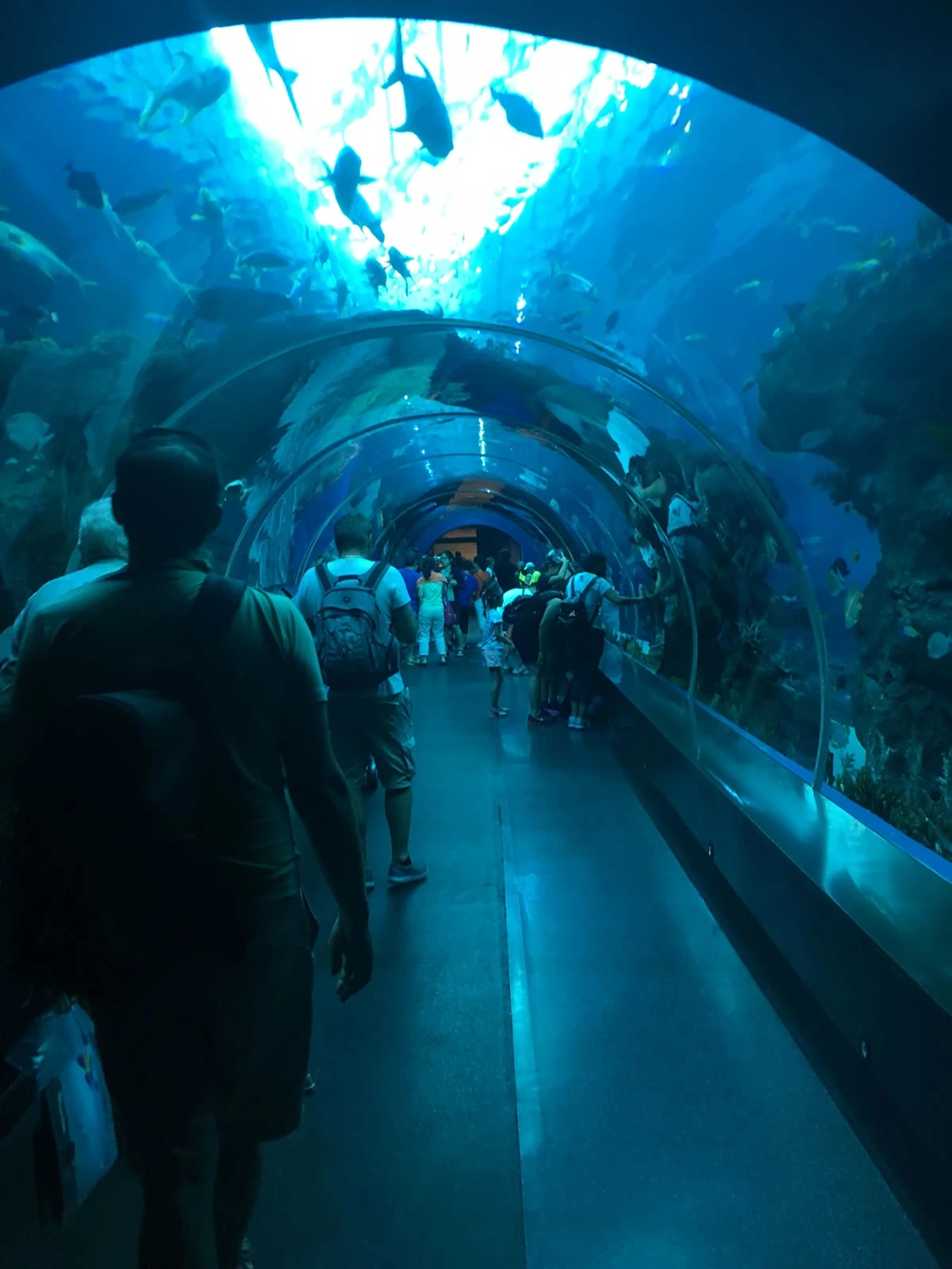 Singapore Oceanarium Pass