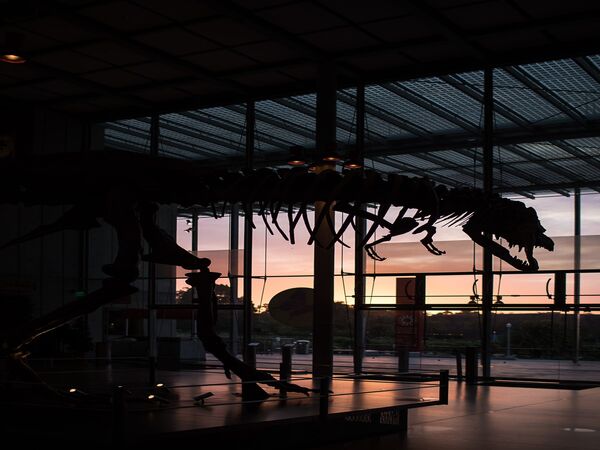 California Academy of Sciences