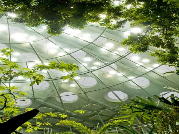 California Academy of Sciences
