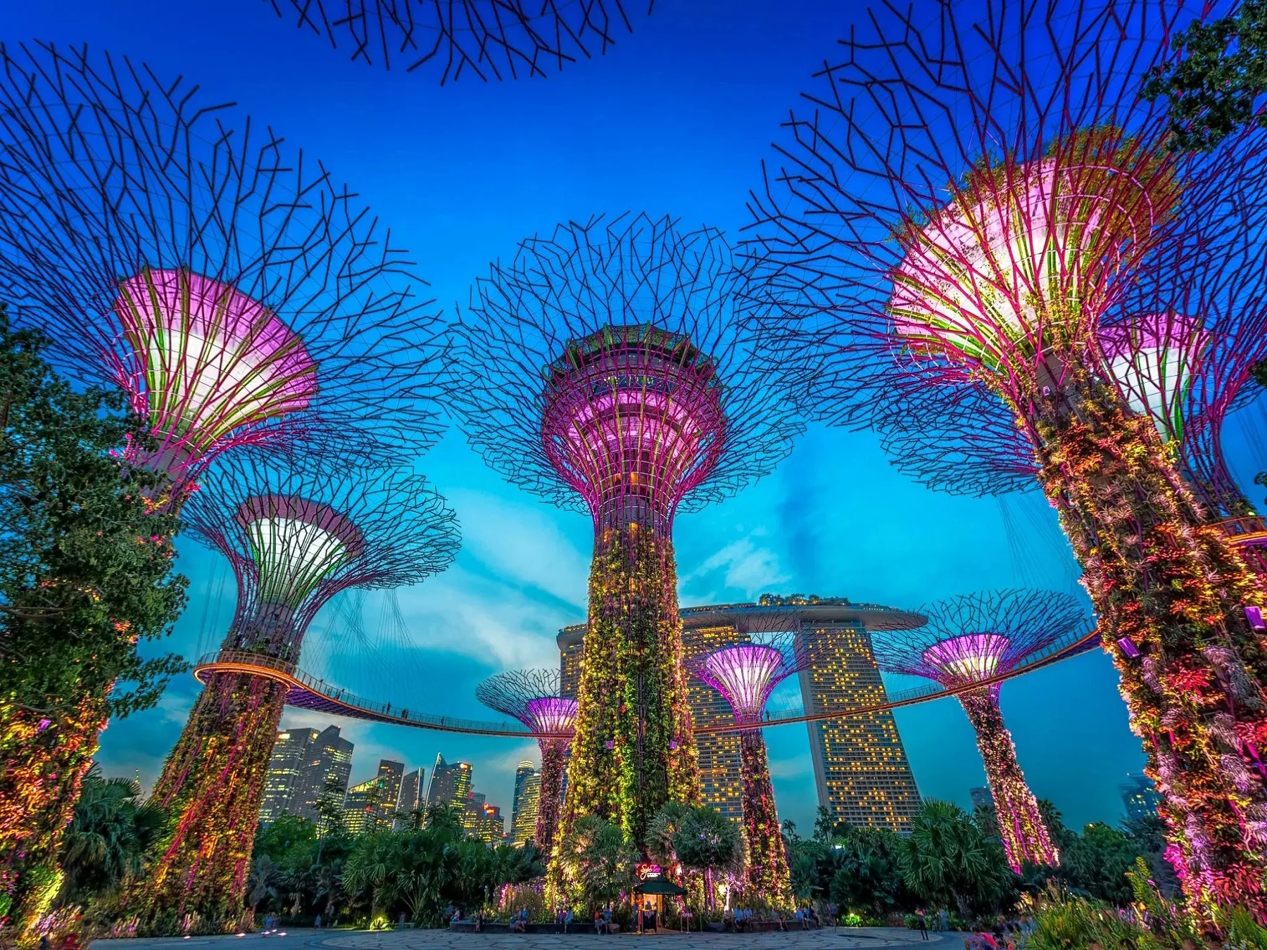 Gardens by the Bay Double Conservatory Ticket