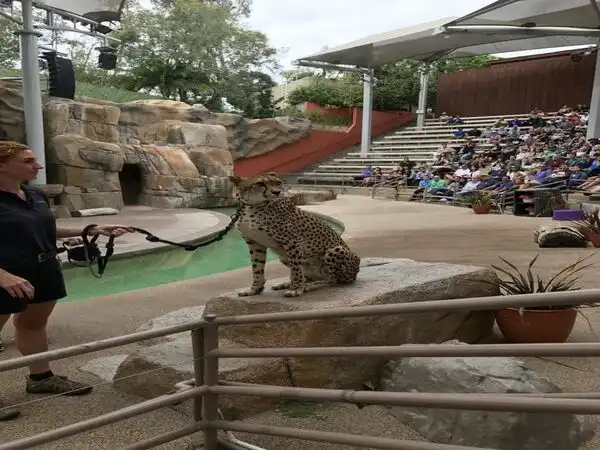 San Diego Zoo Tickets