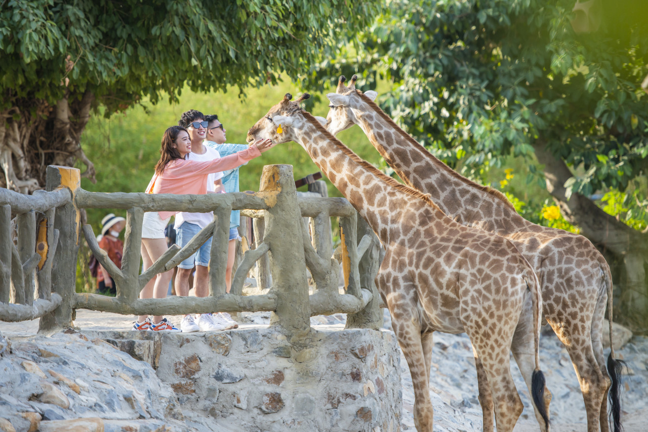 VinWonders Nha Trang Vietnam Tickets