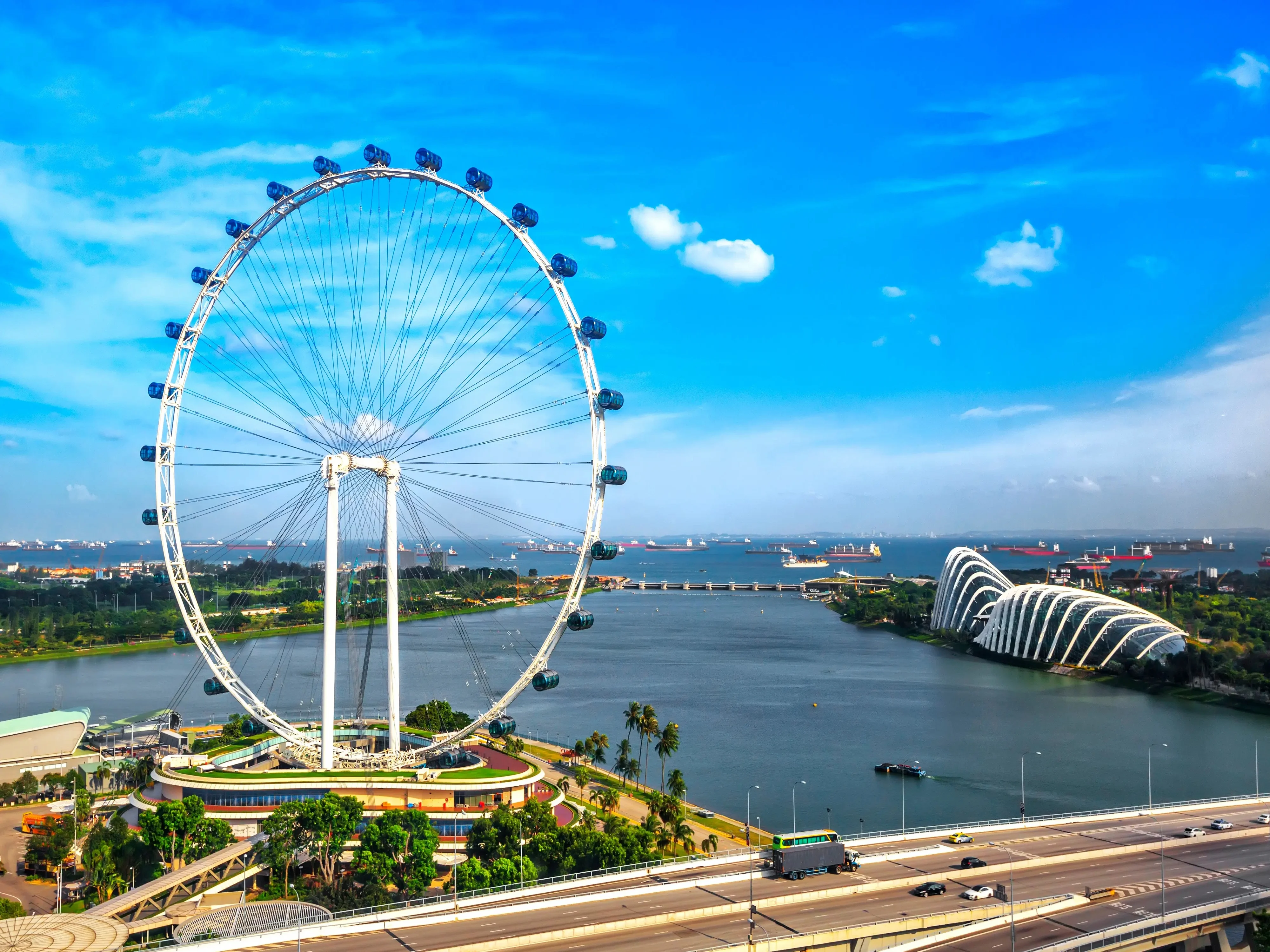 Singapore Flyer Entry Ticket with Time Capsule