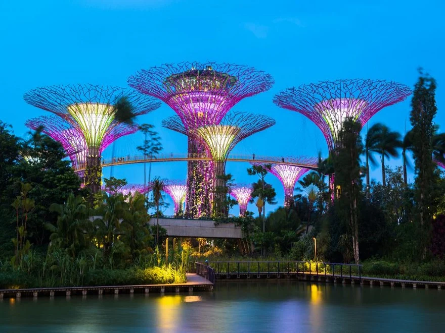 Cloud Forest Gardens by the Bay Entry Ticket
