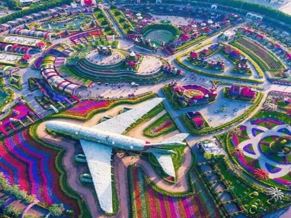 Dubai Miracle Garden Tickets