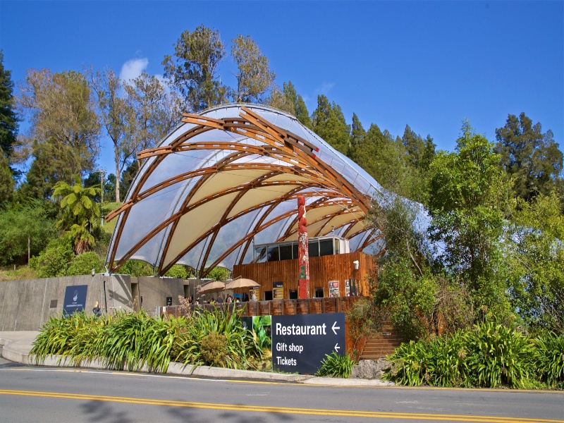 Waitomo Glowworm Caves Guided Tour