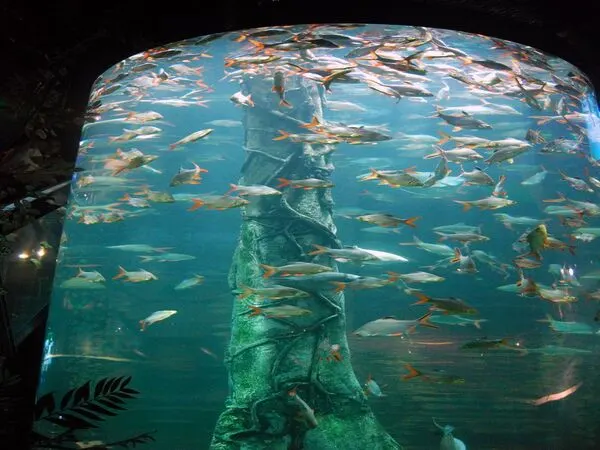 Aquaria KLCC General Admission Ticket
