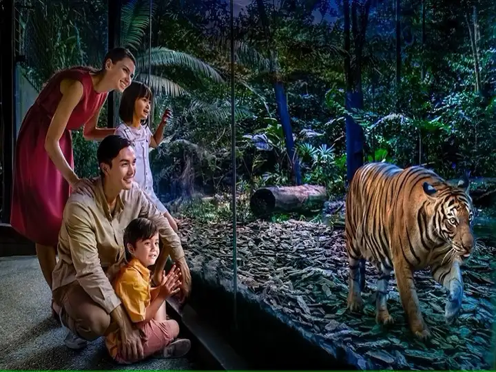 Singapore Night Safari Admission Ticket