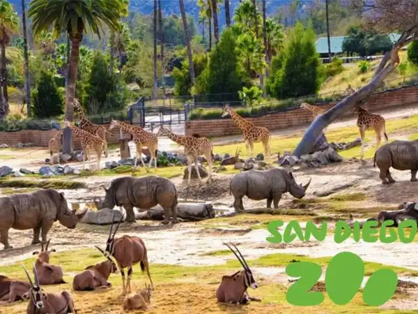 San Diego Zoo Tickets