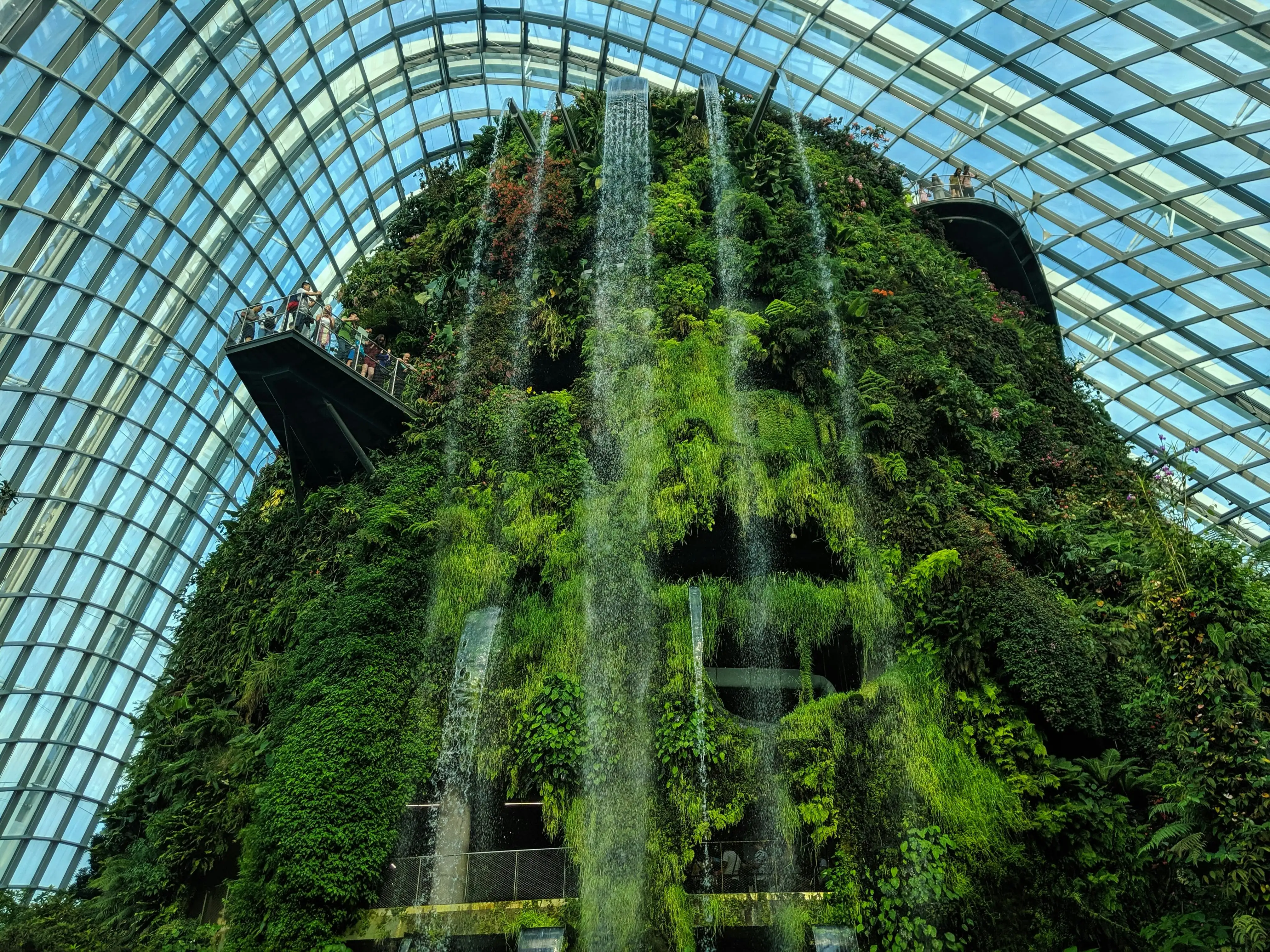 Gardens by the Bay Double Conservatory Ticket