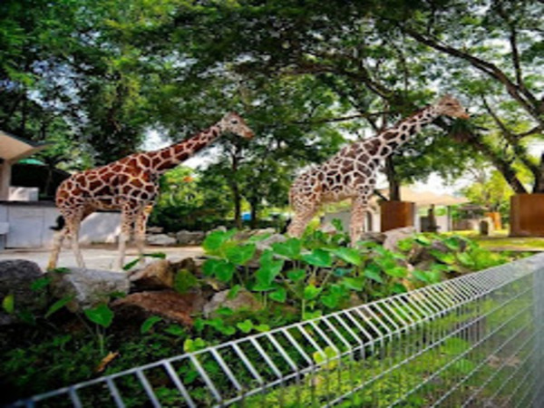 Zoo Negara Malaysia Entry Ticket