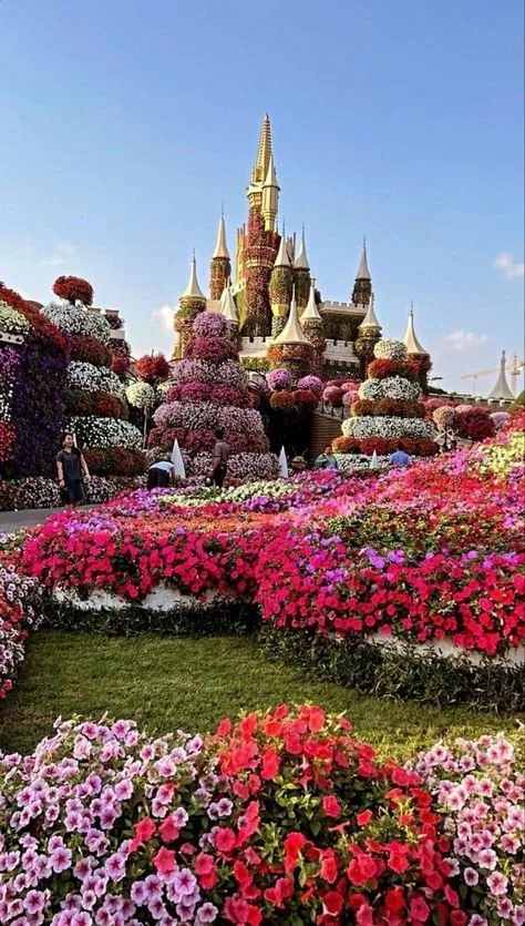 Dubai Miracle Garden Tickets