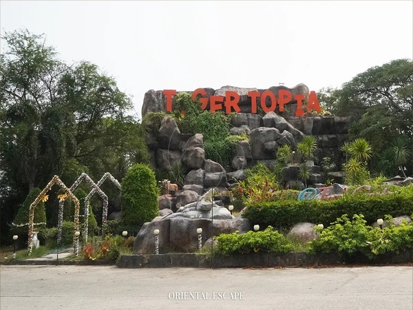 Tiger Park Pattaya Admission Ticket