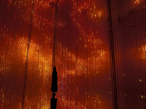 teamLab BioVortex Kyoto Tickets