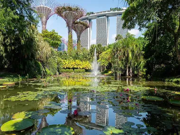 Gardens by the Bay Double Conservatory Ticket