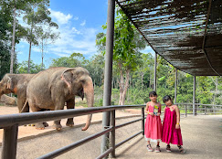 Vinpearl Safari Phu Quoc Tickets