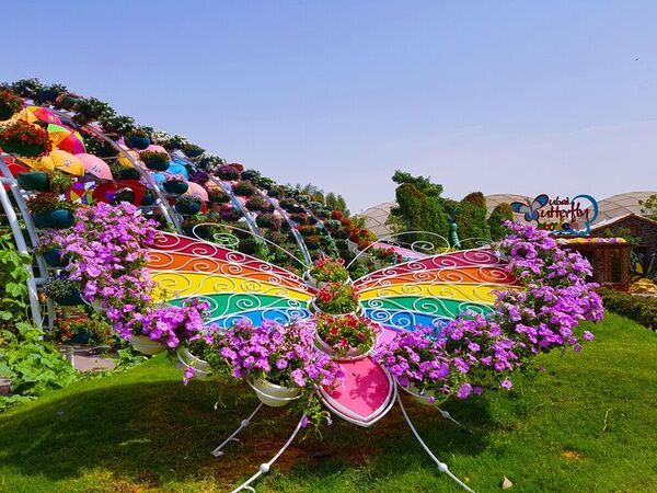 Dubai Butterfly Garden Entry Tickets