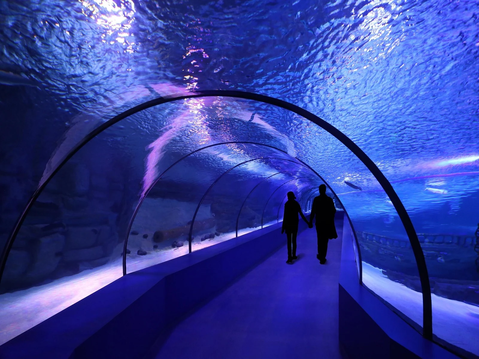 SEA LIFE London Aquarium Entry Ticket