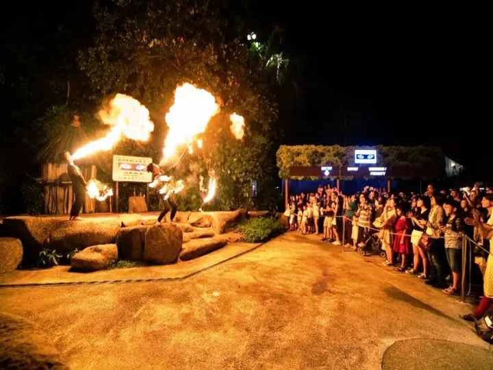 Singapore Night Safari Admission Ticket