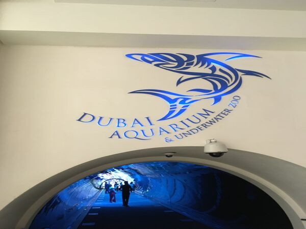 Dubai Aquarium & Underwater Zoo Entry Tickets
