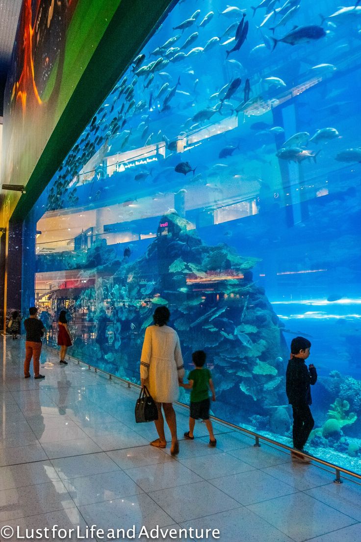 Dubai Aquarium & Underwater Zoo Entry Tickets