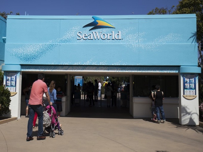Sea World Gold Coast Admission Tickets