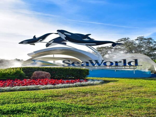 SeaWorld Orlando Admission Ticket