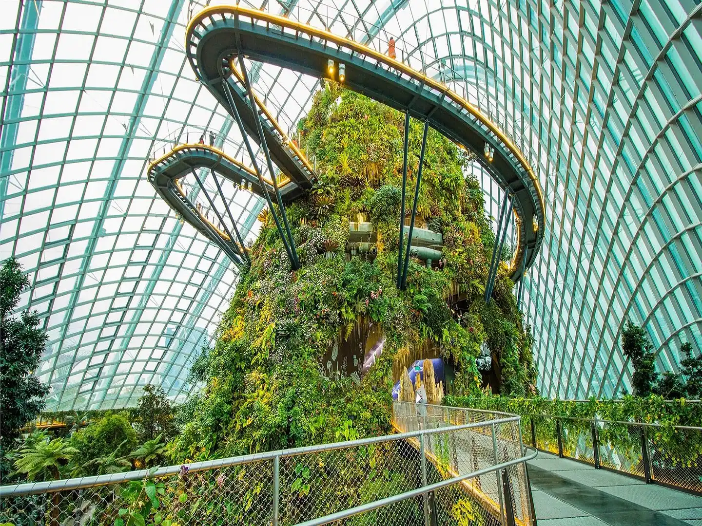 Cloud Forest Gardens by the Bay Entry Ticket