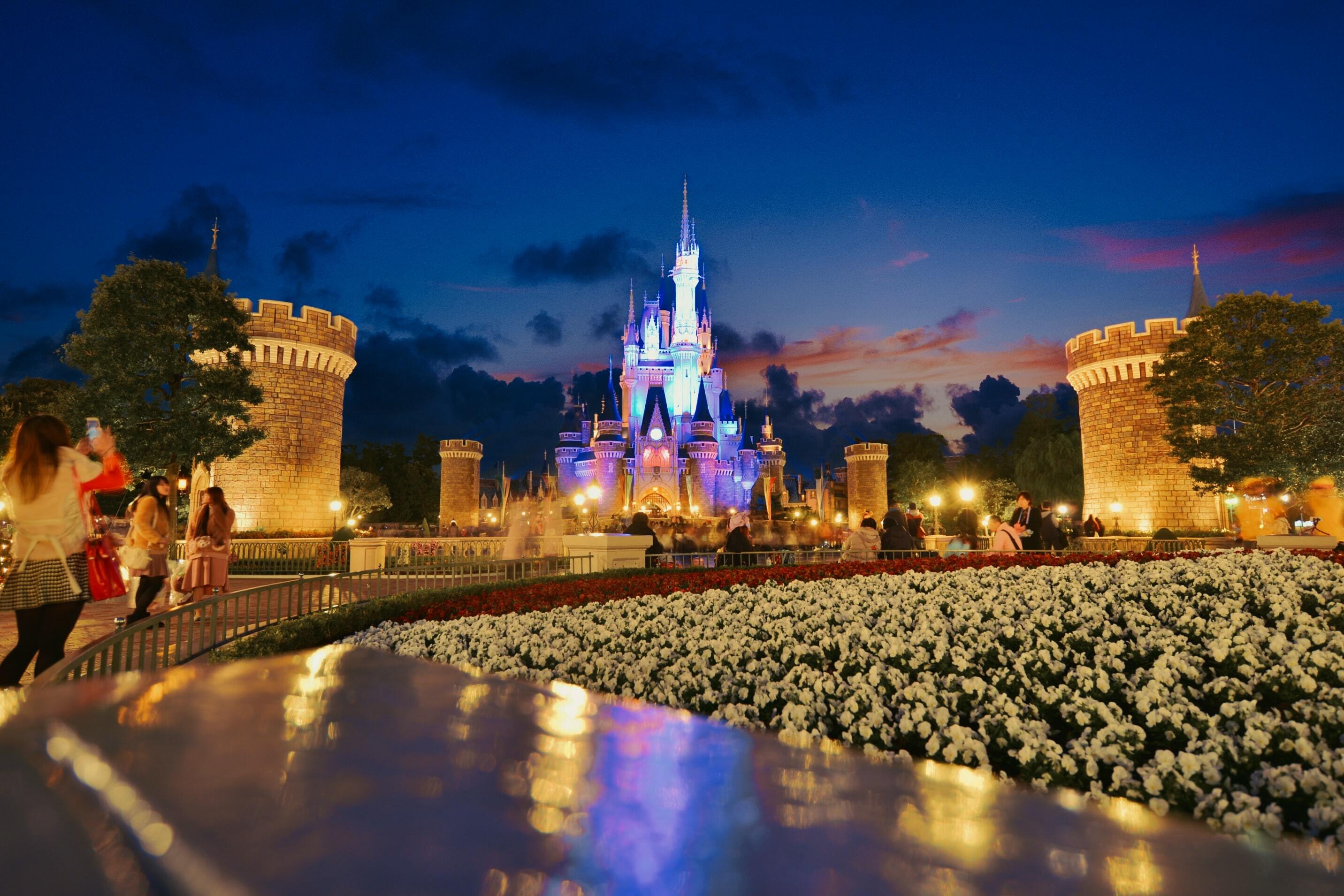 Tokyo Disneyland Admission Tickets