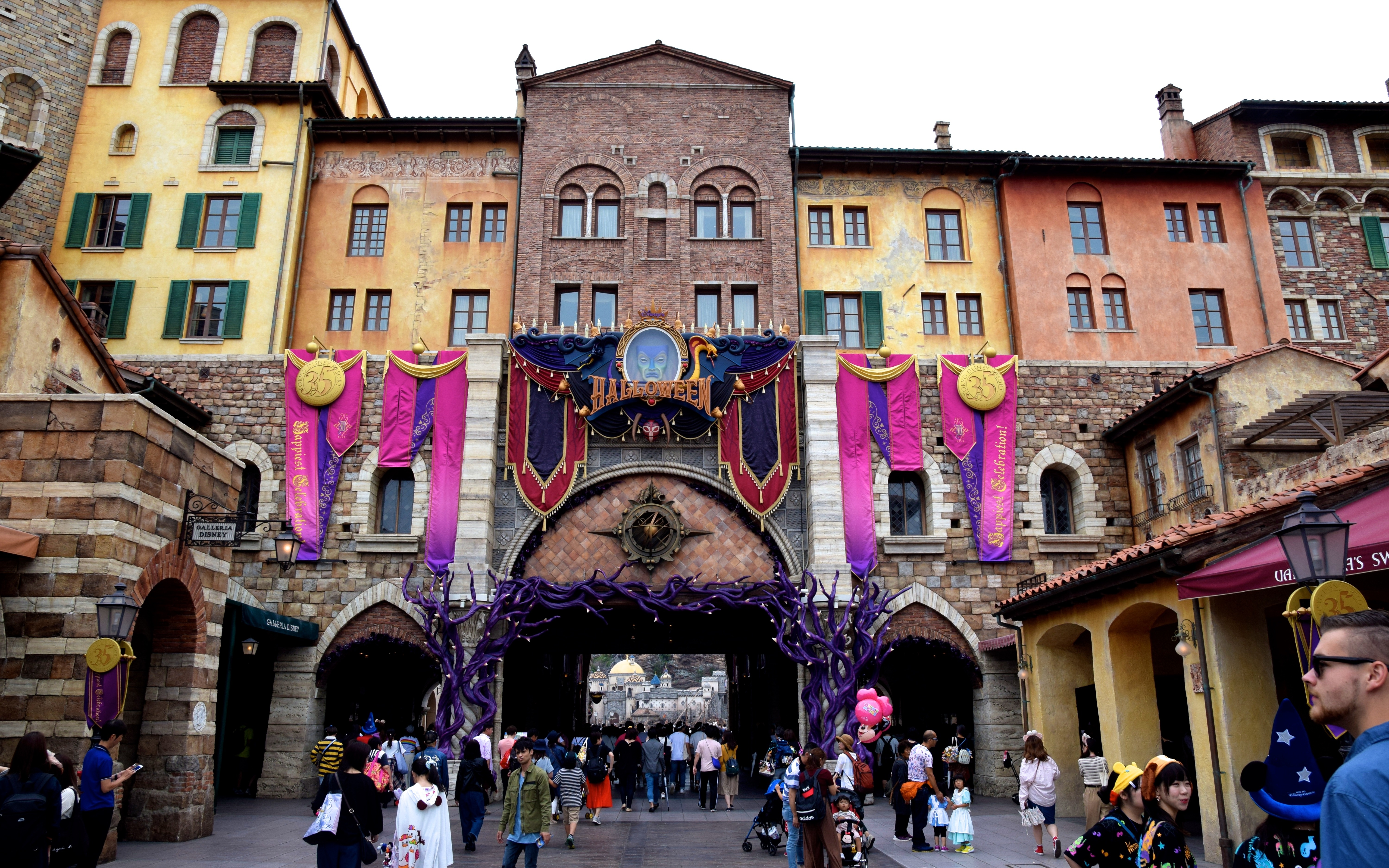 Tokyo DisneySea Admission Ticket