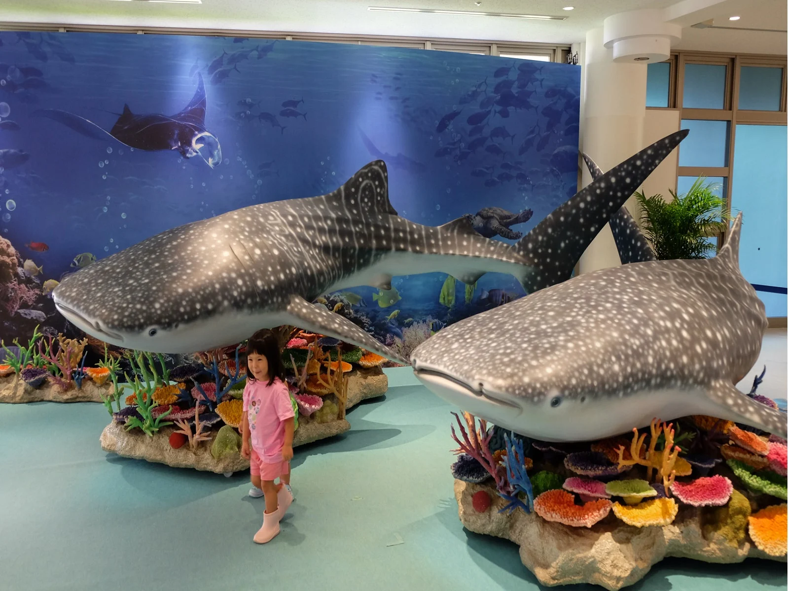 Okinawa Churaumi Aquarium Tickets